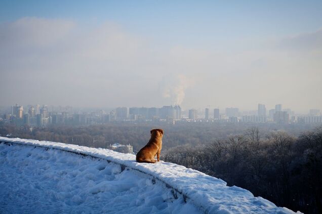До -24°С ночью и без осадков днем: прогноз погоды в Киеве и области на 18 января