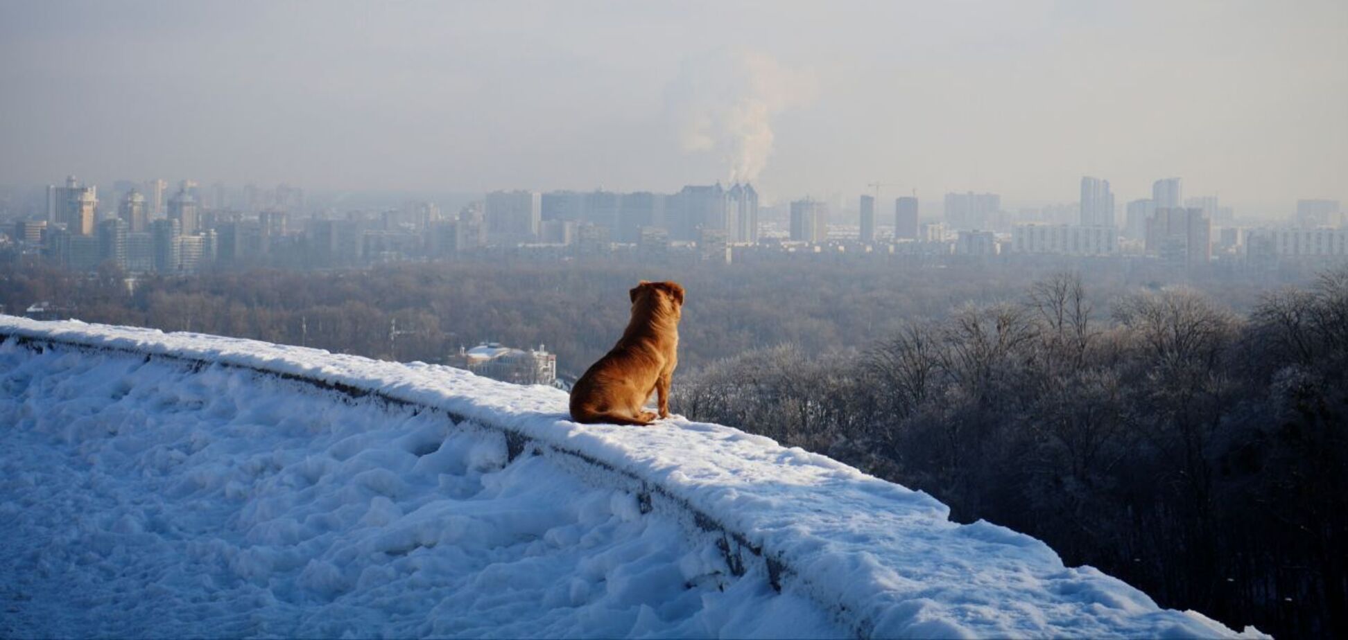 До -24°С вночі та без опадів удень: прогноз погоди у Києві та області на 18 січня