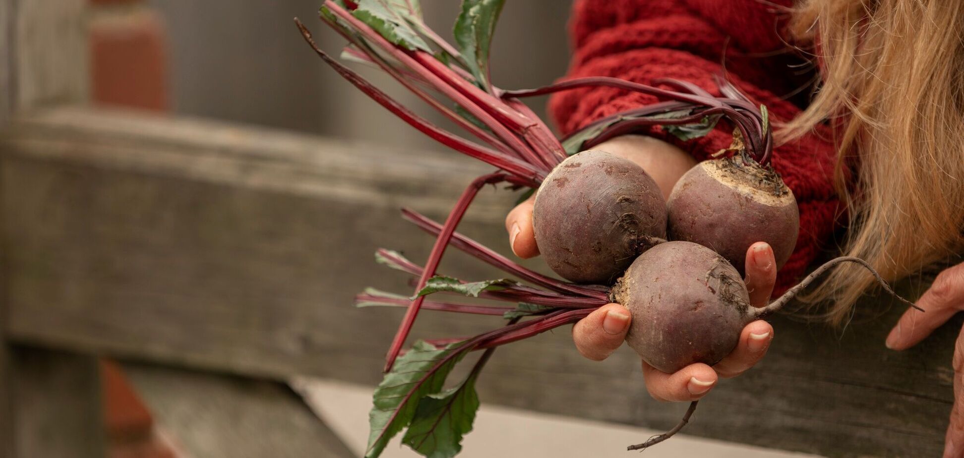 Ілюстрація - жінка тримає буряк