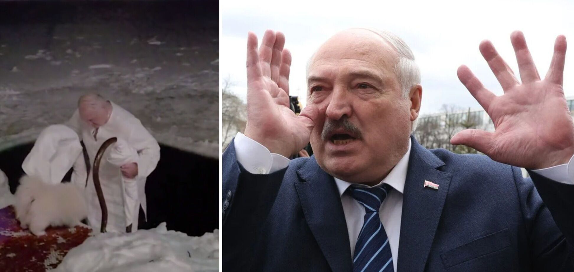 'Искал картошку?' 71-летний Лукашенко в сопровождении собаки нырнул в прорубь и был высмеян. Видео