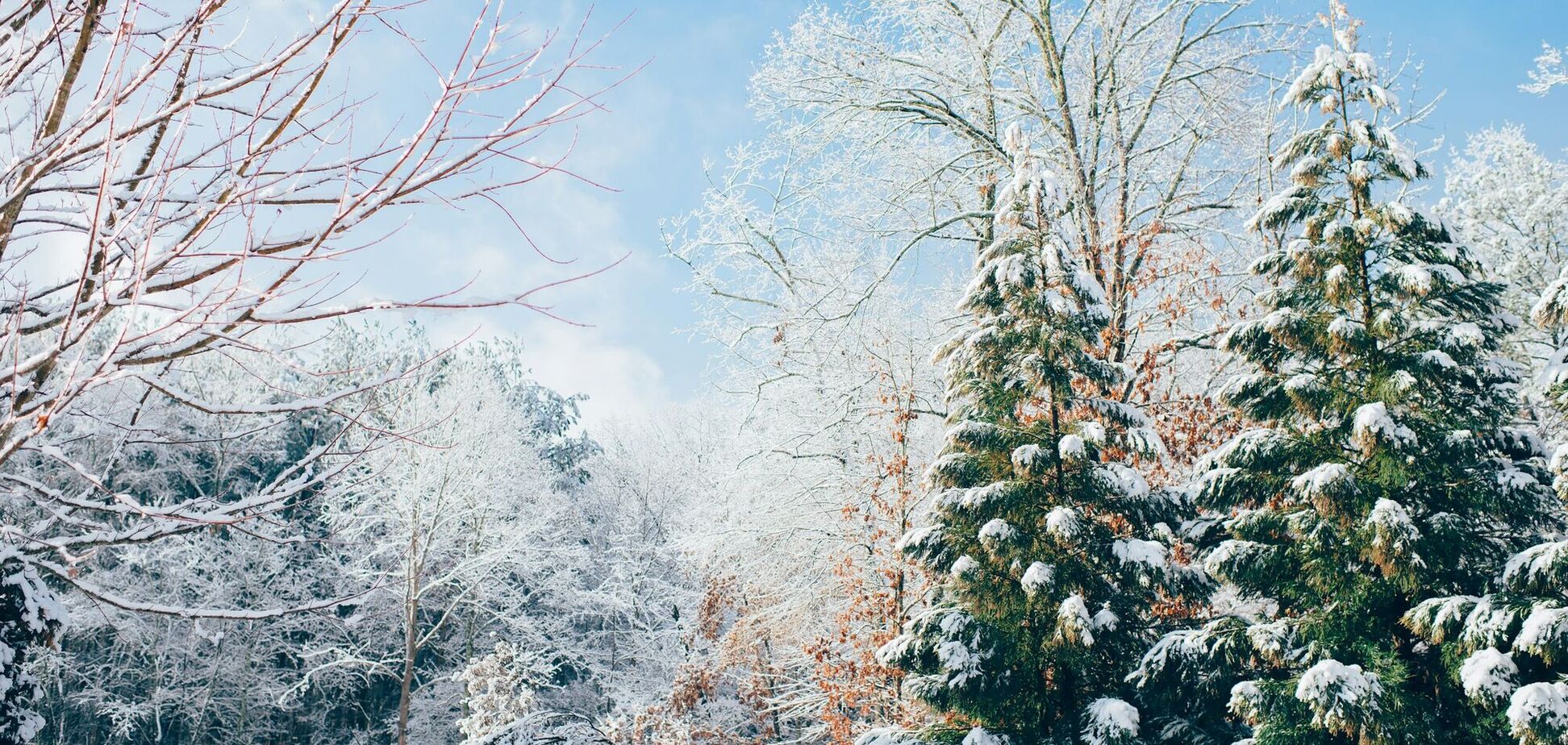 Какой праздник отмечают 23 января: церковный календарь