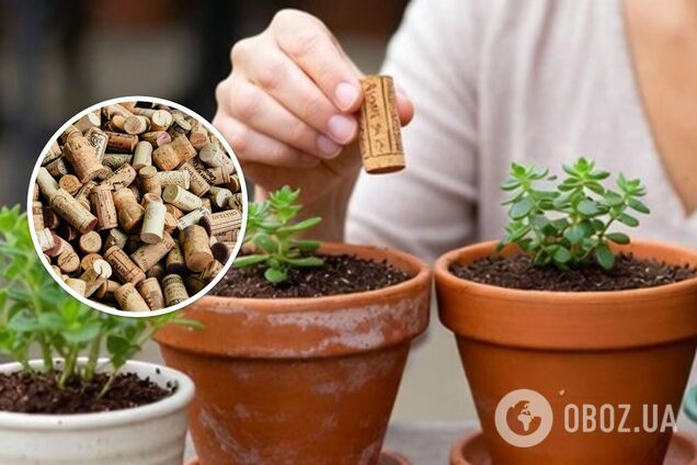 Как сделать дренаж для горшков с цветами: дешевый способ