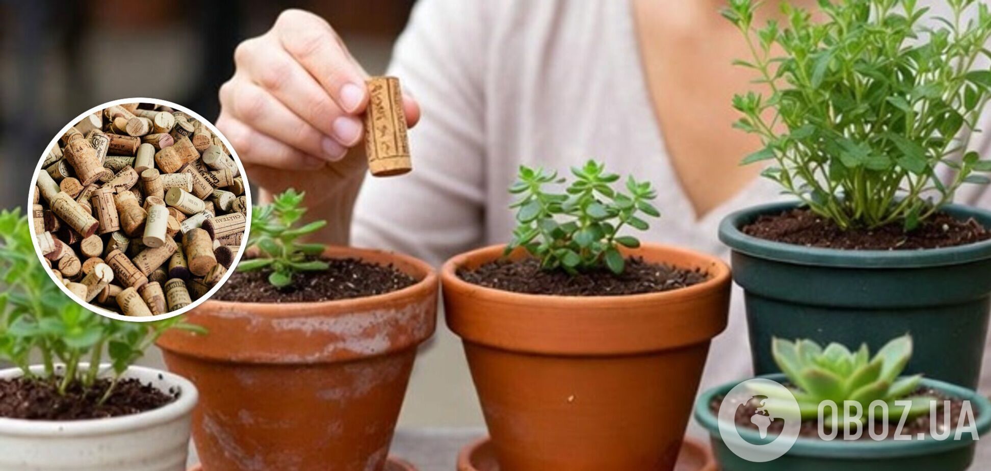 Как сделать дренаж для горшков с цветами: дешевый способ