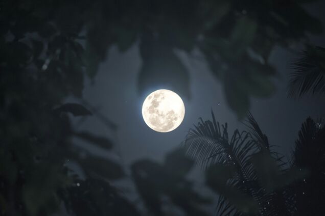 2026 рік починається Вовчою повнею: названа точна дата