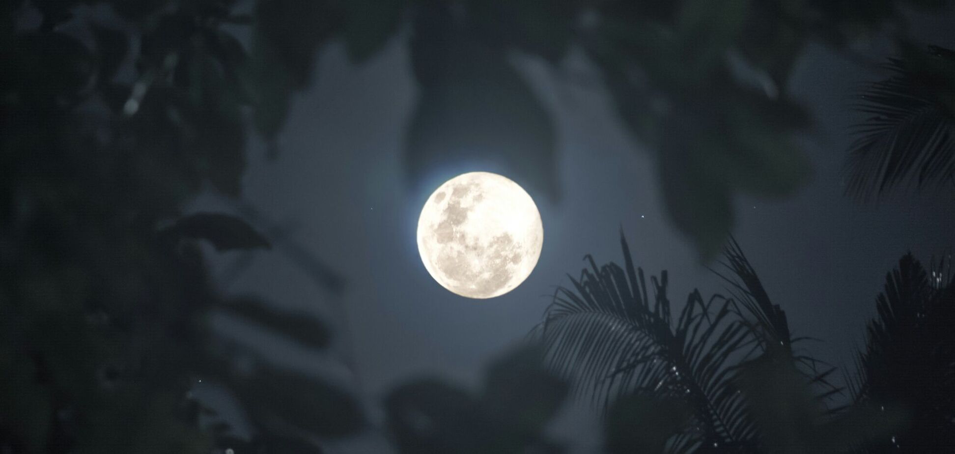 2026 рік починається Вовчою повнею: названа точна дата