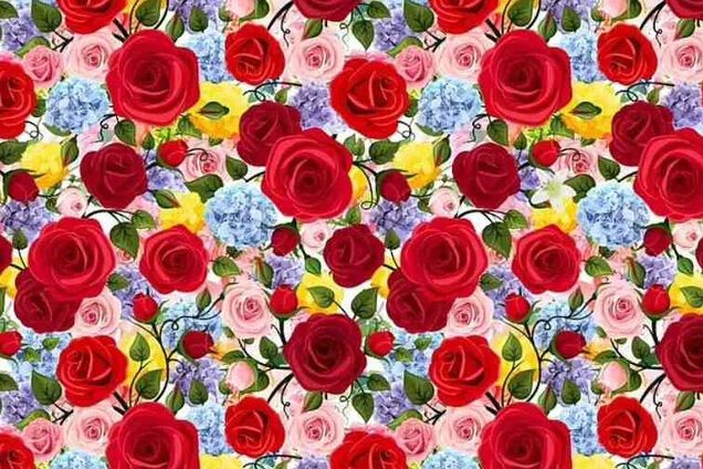 Знайдіть лілію серед троянд: головоломка