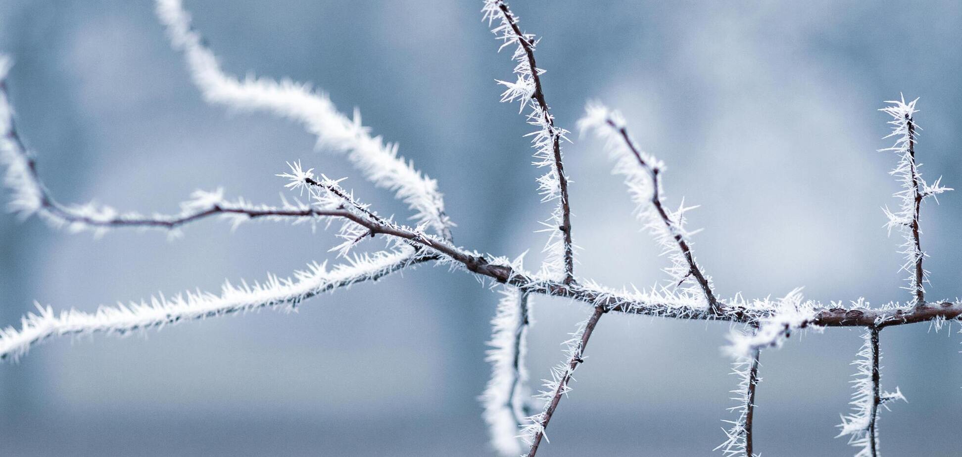 Востаннє таке було 16 років тому: синоптикиня вказала на 'аномалію' з зимою в Україні