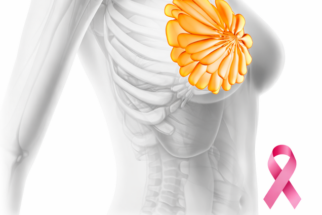 Штучний інтелект і мамографія: менше 'непоміченого' раку у складних випадках