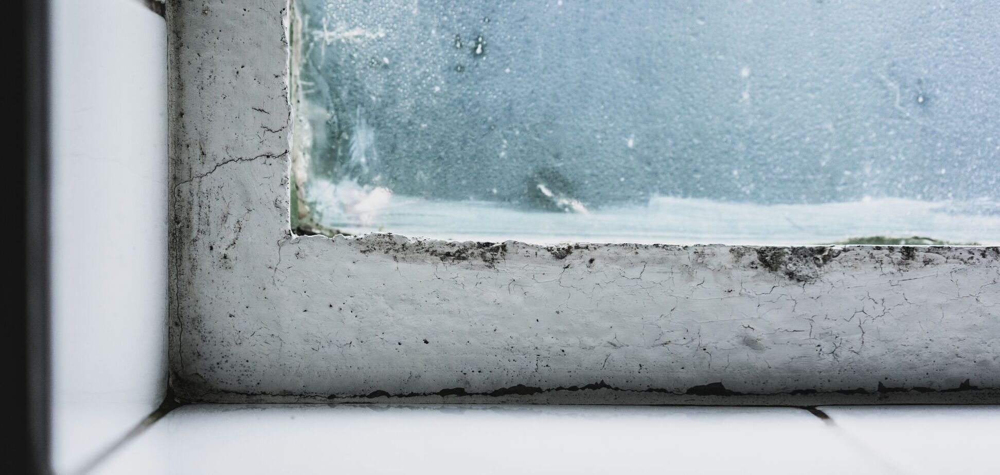 Як позбутися конденсату на вікнах: маловідомий, але дієвий спосіб