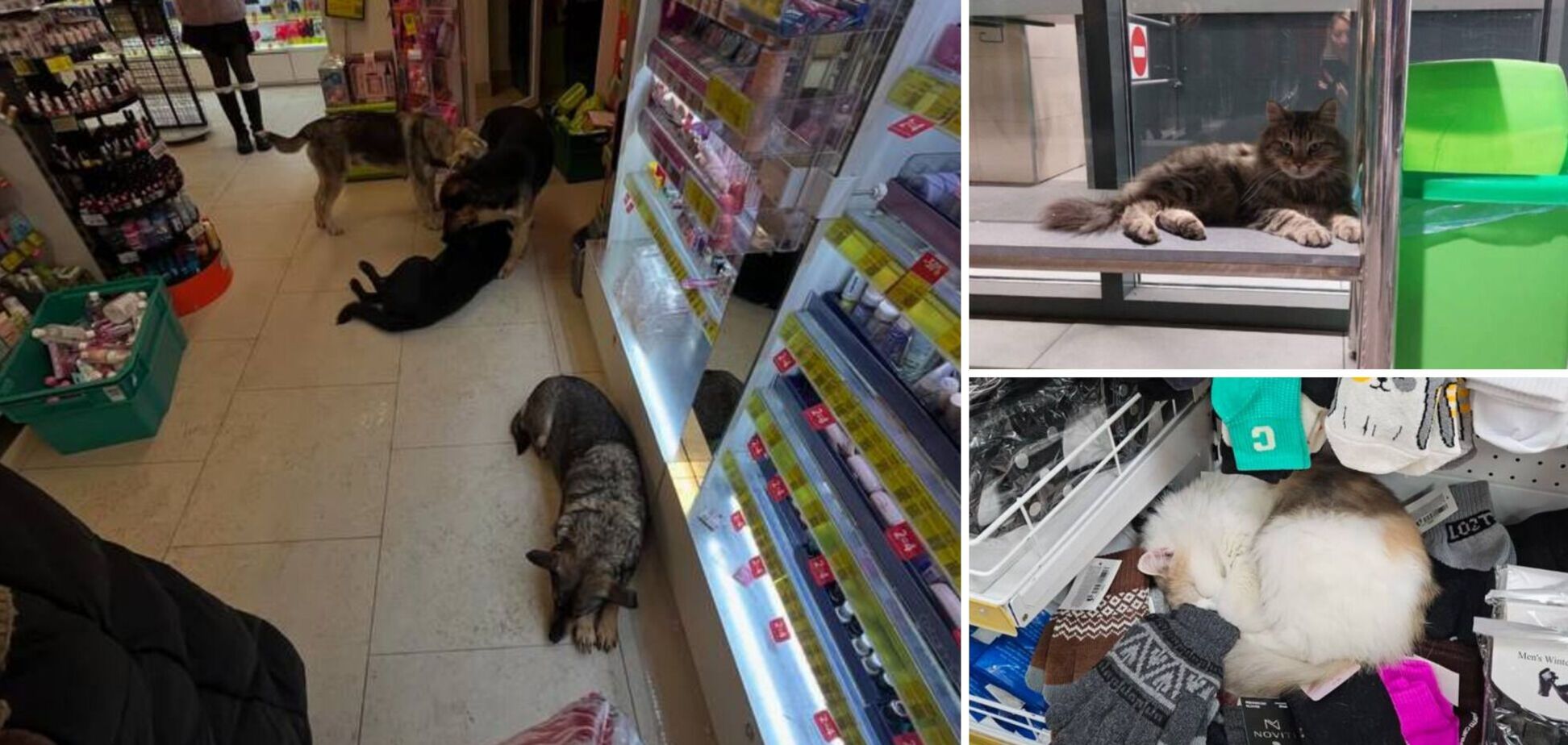 В Украине готовят новые правила для супермаркетов и ресторанов: что известно