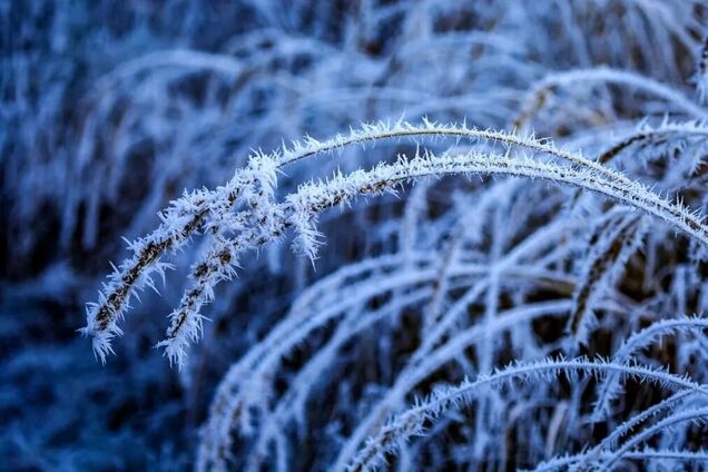 Ще розраховуємо на холодну ніч: синоптики сказали, в яких регіонах України у середу почнеться відлига. Карта