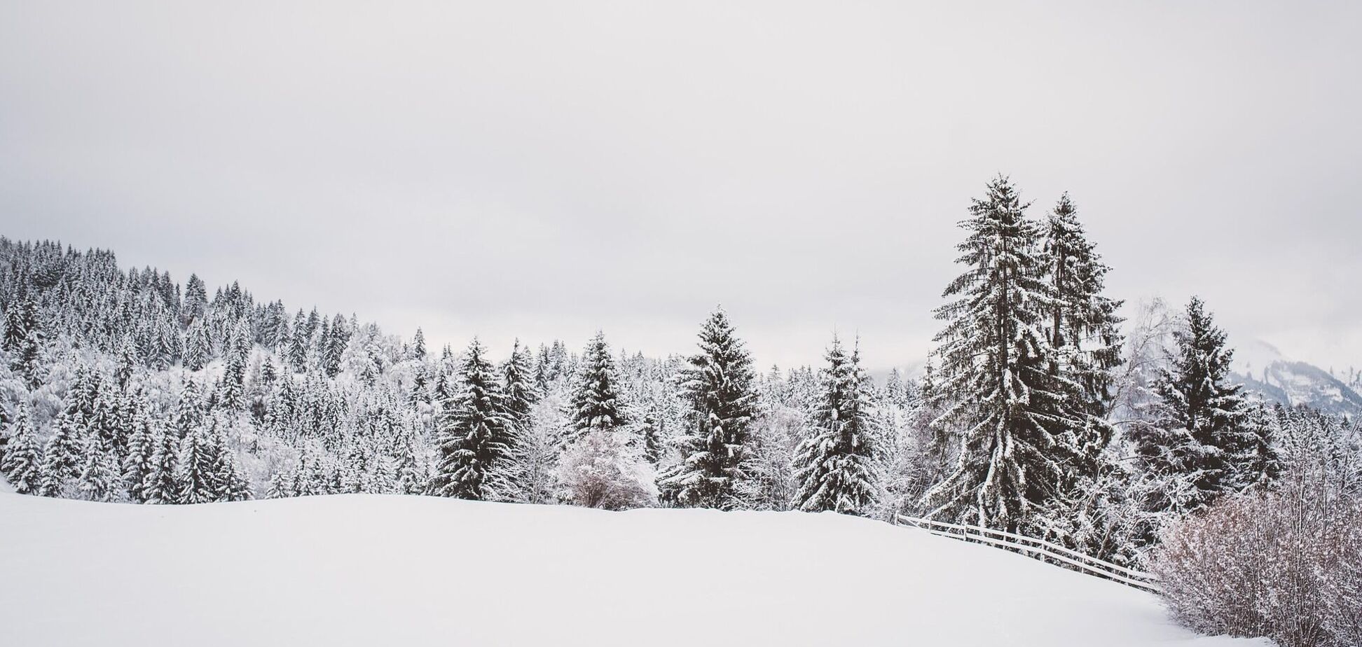 Потепление станет более ощутимым: синоптик рассказала, когда ждать изменения погоды в Украине