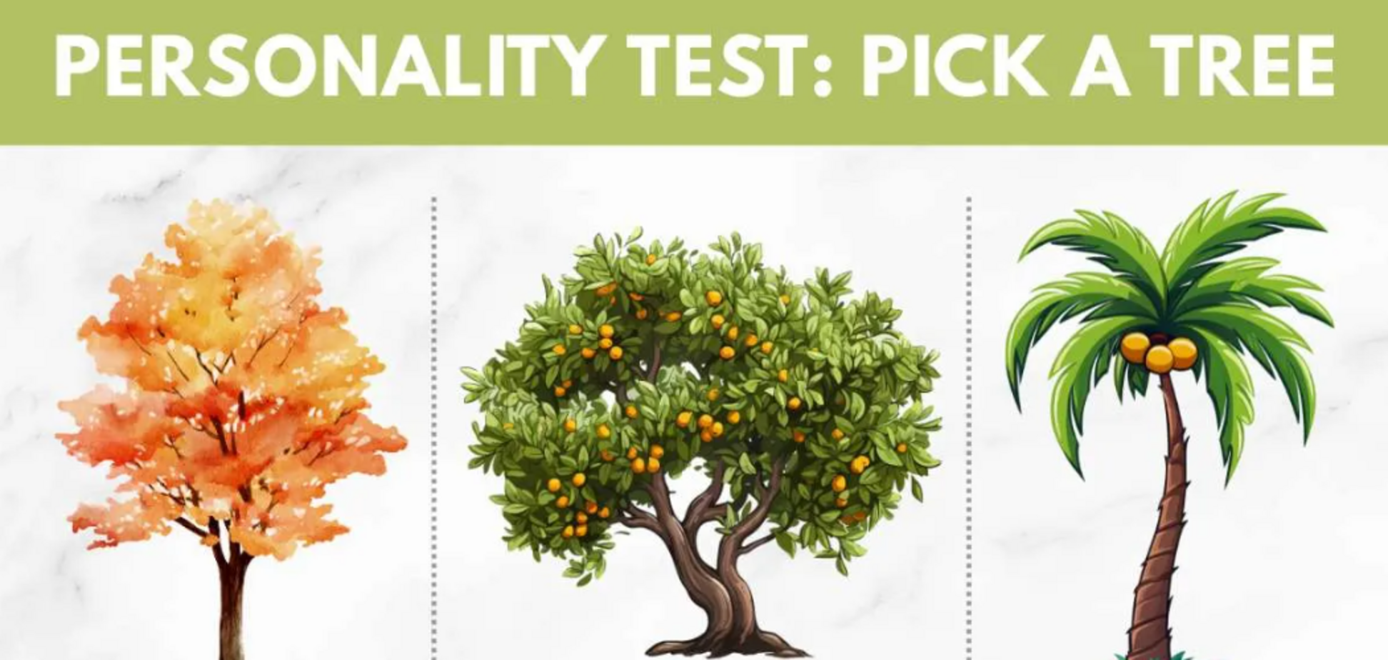 Яке дерево оберете? Простий тест покаже ваш прихований талант