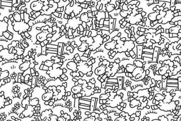 Найдите цыпленка: веселая головоломка