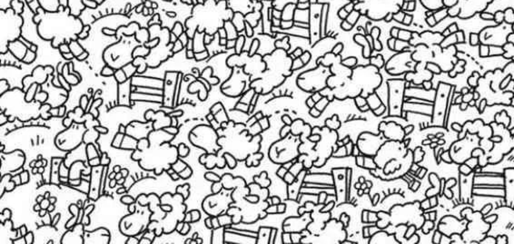 Найдите цыпленка: веселая головоломка