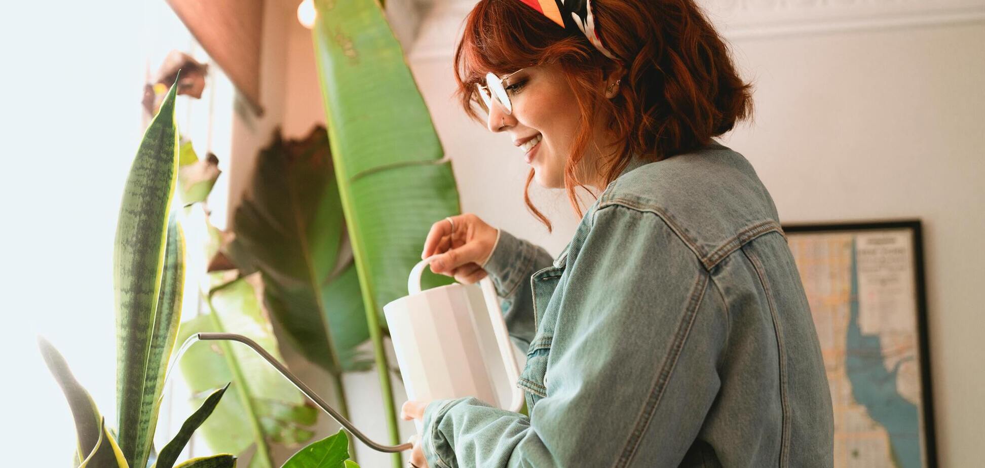 Як поливати квіти взимку: поради, що збережуть їх здоровими