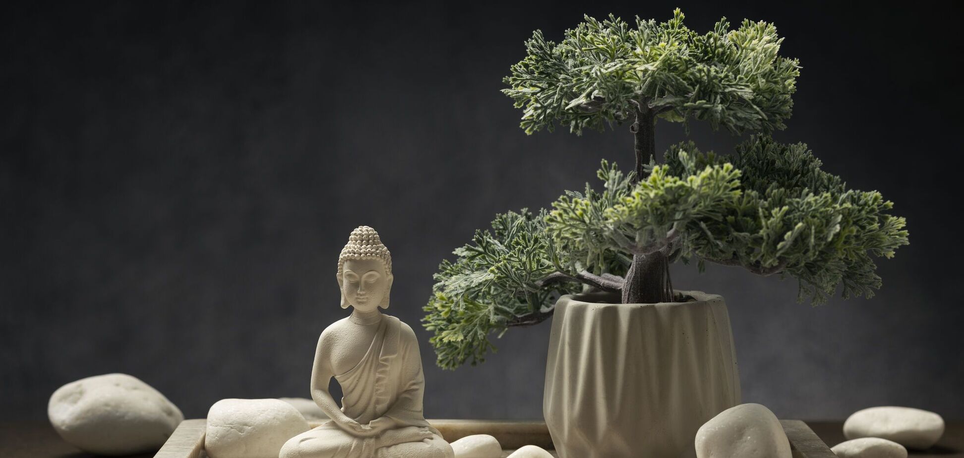 Як часто поливати дерево бонсай: секрети догляду