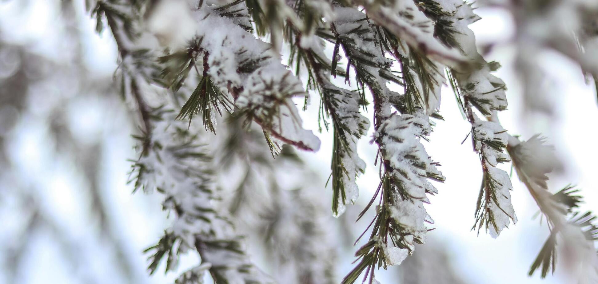 От 17 градусов мороза до 9 тепла: синоптики дали контрастный прогноз погоды на вторник в Украине. Карта