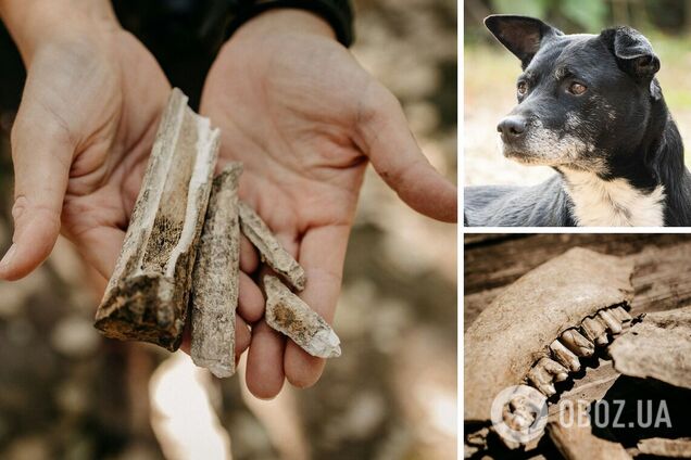 Археологи сделали жуткое открытие в Болгарии. Фото