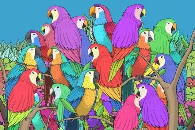 Найдите бабочку за 15 секунд: интересная головоломка