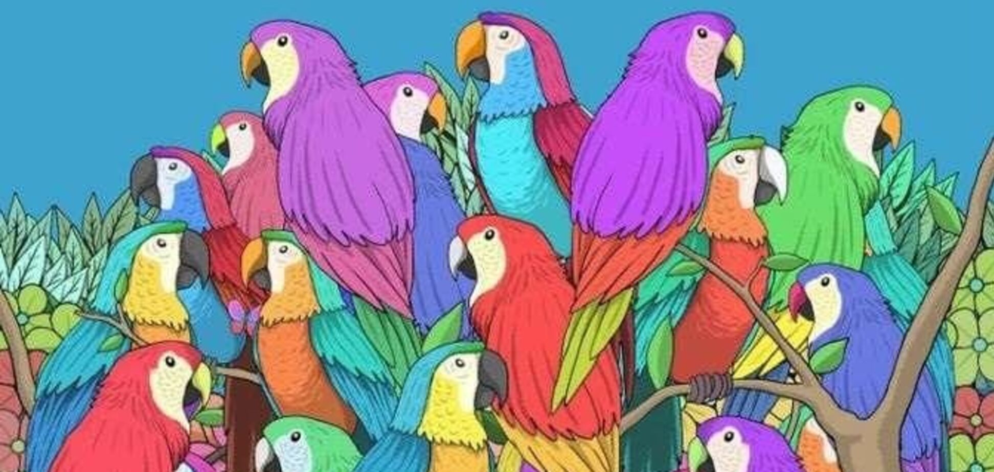 Найдите бабочку за 15 секунд: интересная головоломка