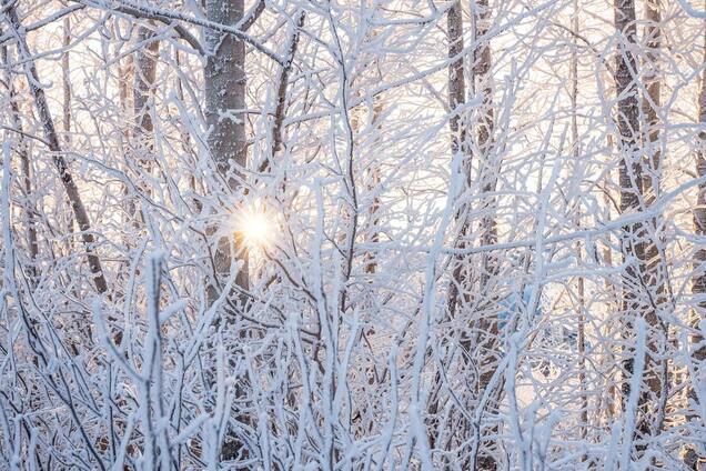 Какой праздник отмечают 31 января в Украине: все об этом дне