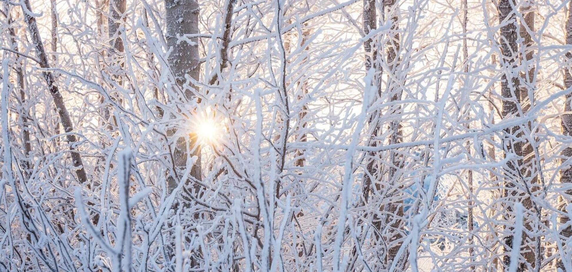 Какой праздник отмечают 31 января в Украине: все об этом дне