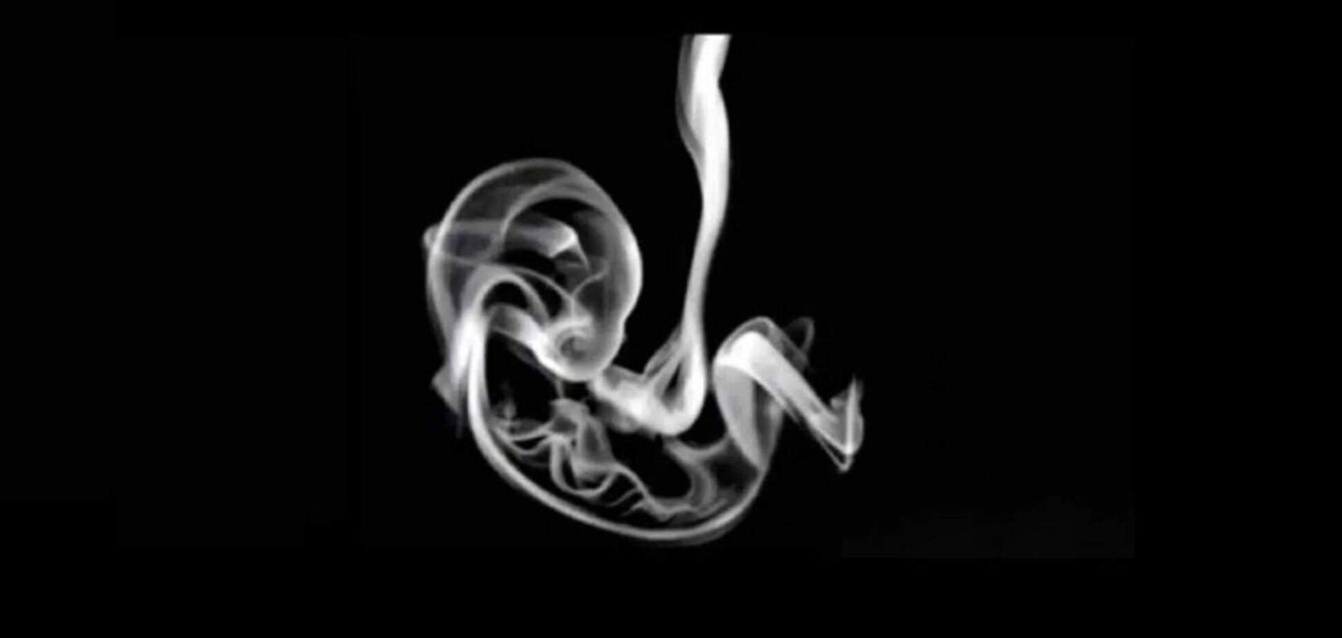 Що ви побачили першим? Тест розкриє правду про ваші емоції