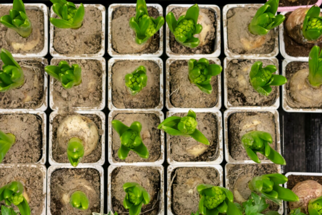 Ніколи не викидайте старі газети: як незвично їх використати