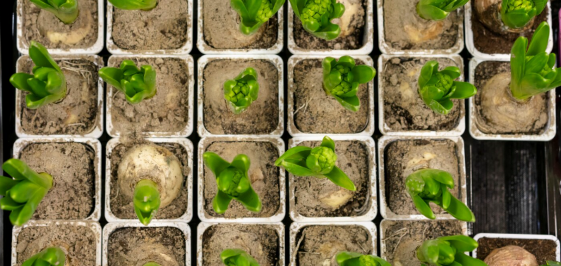 Ніколи не викидайте старі газети: як незвично їх використати