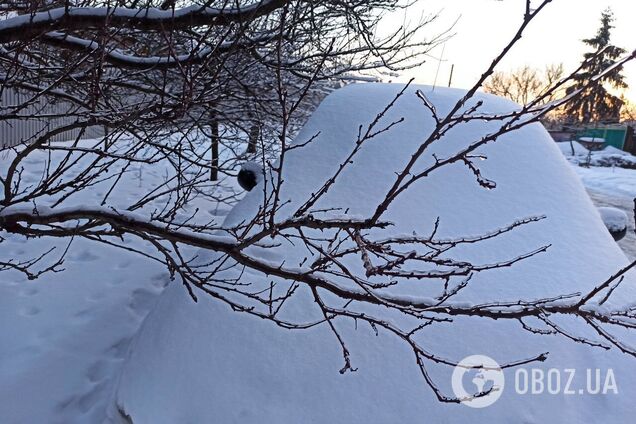 Як розморозити лобове скло в авто: 2 безпечних способи