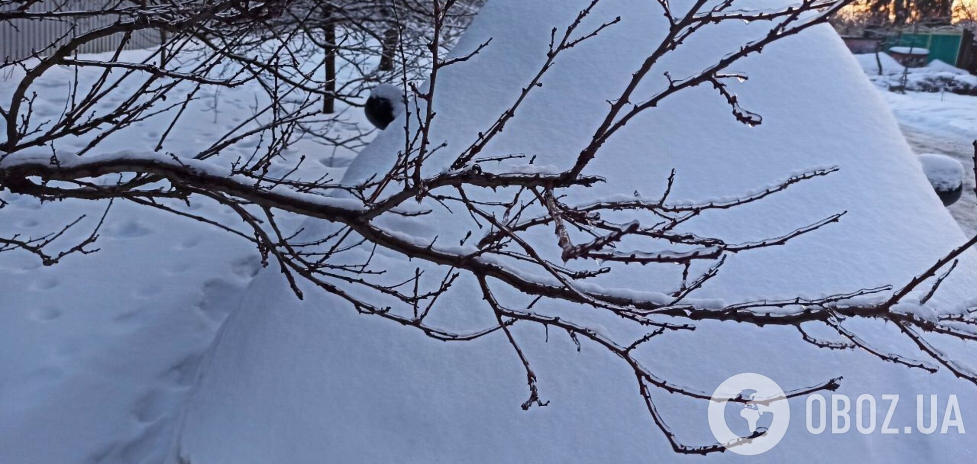 Як розморозити лобове скло в авто: 2 безпечних способи