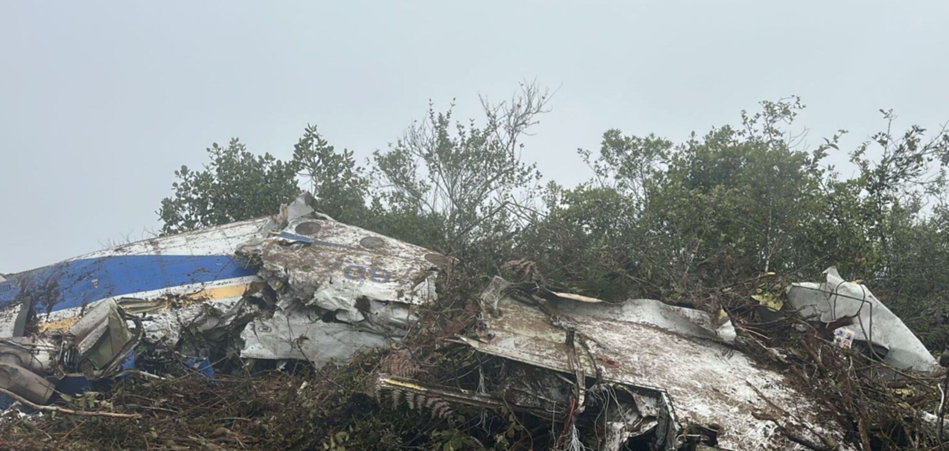 На кордоні Колумбії та Венесуели розбився пасажирський літак: ніхто не вижив. Фото і відео