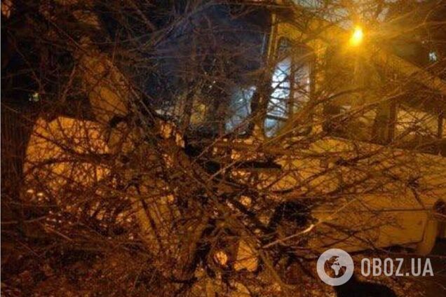 В Киеве мужчина угнал автобус и устроил массовое ДТП. Подробности и фото