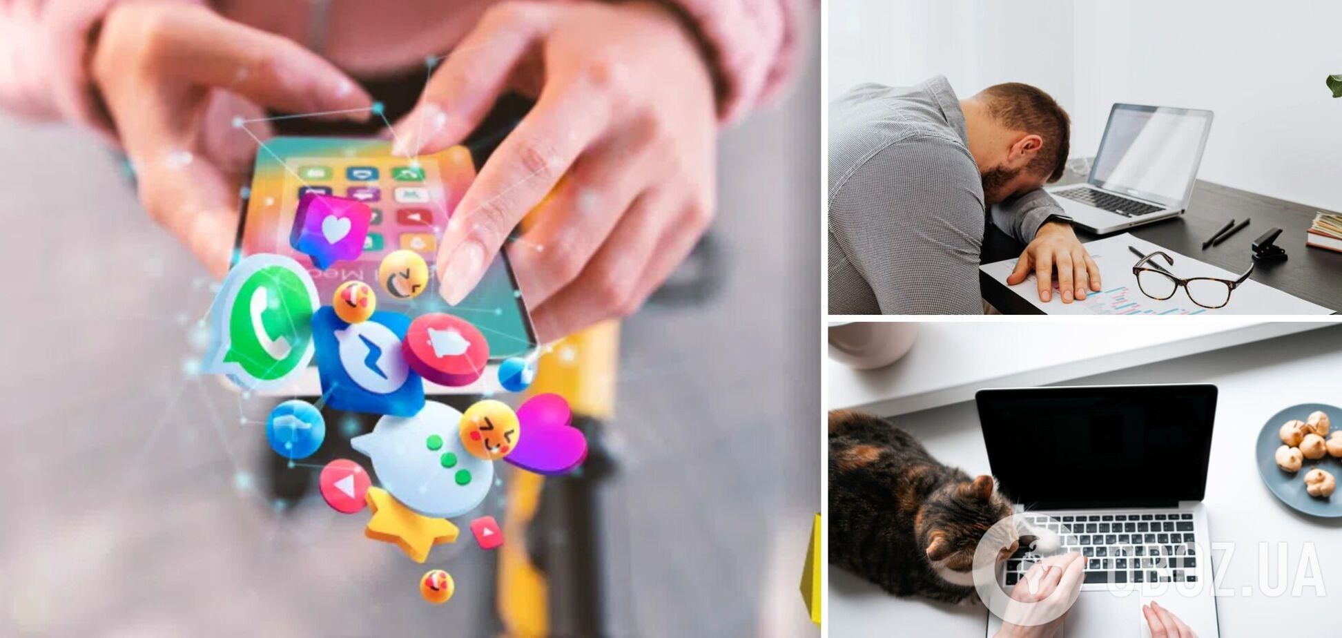 Почему стоит выбирать упаковку на Новой почте и нельзя доверять скидкам: украинцы поделились секретами после увольнения