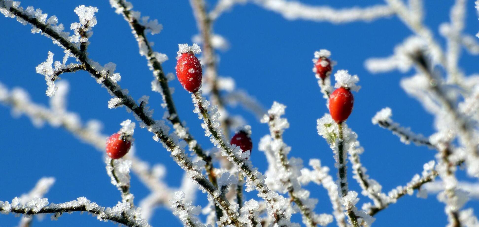Морози в Україні будуть посилюватися: синоптикиня розповіла, якої погоди чекати