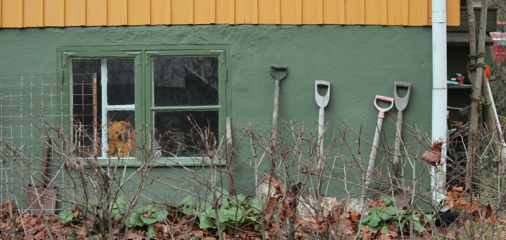 Посівний календар на лютий-2026: що треба зробити у саду і на городі