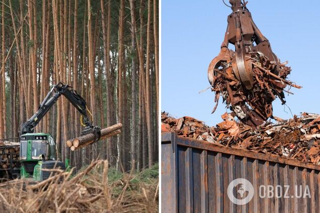 Кабмин сохранил режим лицензирования и квот на экспорт дерева и лома на 2026 год