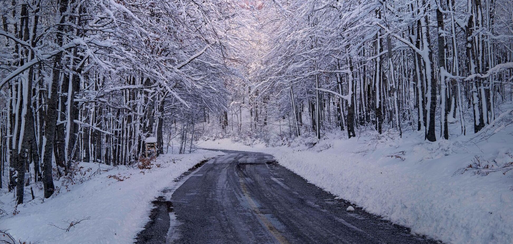 Опади і ожеледиця: чим здивує погода в Україні 4 січня
