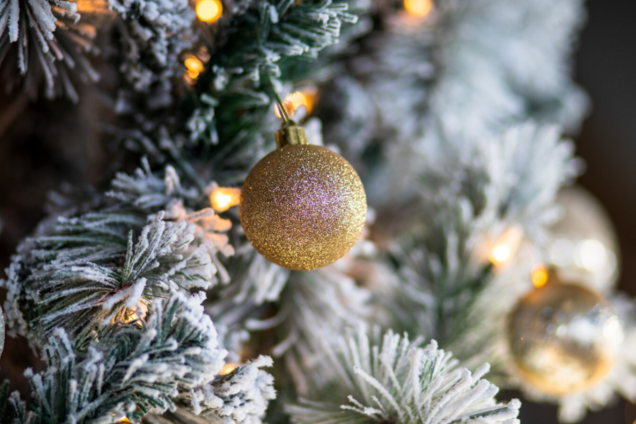 Коли варто прибрати новорічну ялинку: названі магічні дати