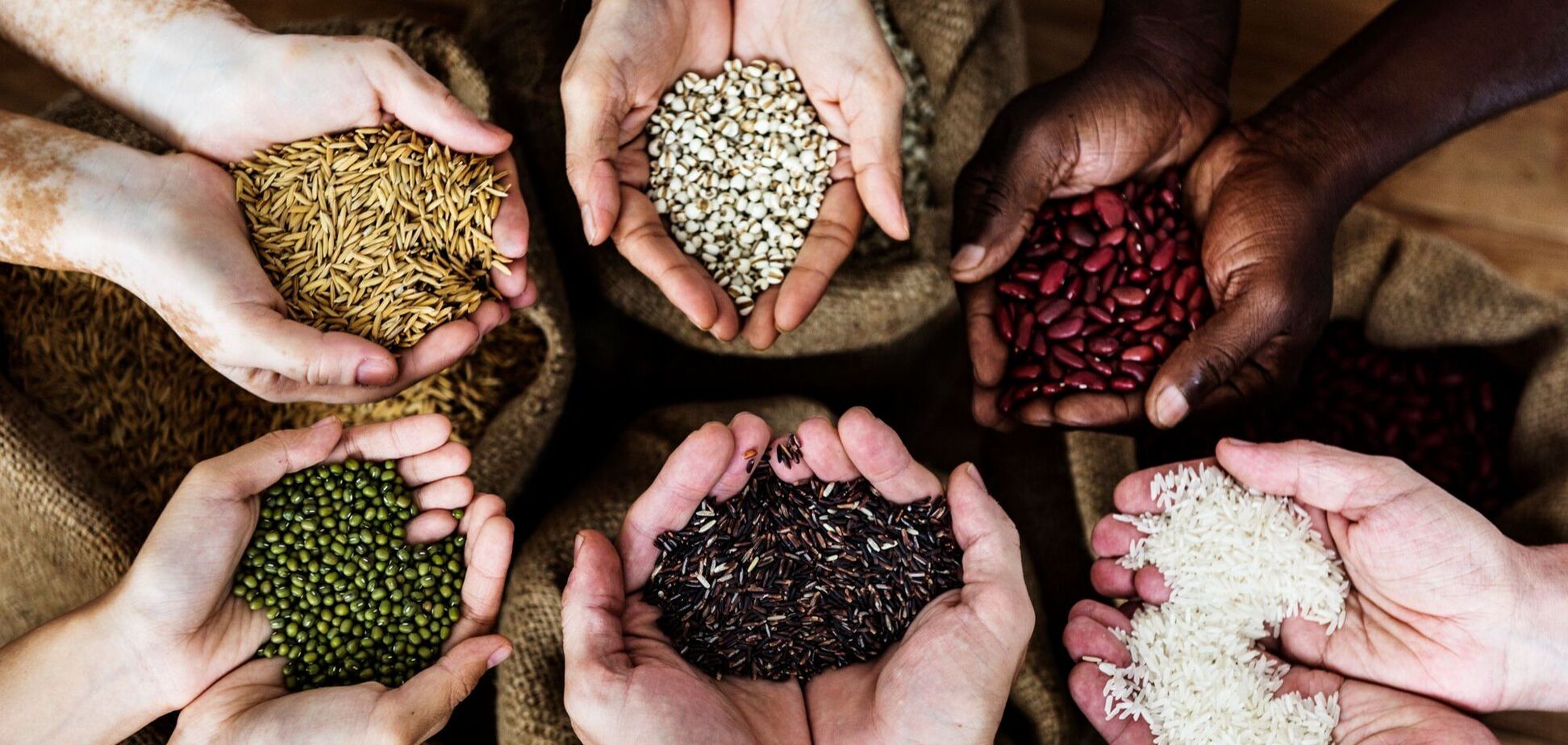 Ілюстрація - фермери тримають насіння