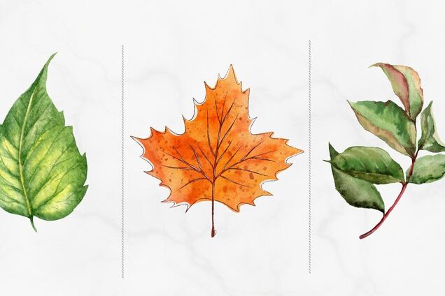 У чому ваша прихована сила: оберіть листок і дізнайтеся