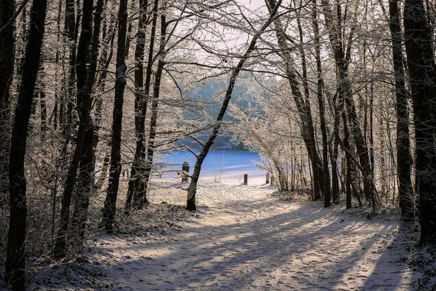 Какой праздник отмечают 9 января: все об этом дне