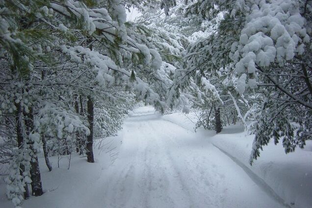 Україна в очікуванні хуртовин і морозів: чи готові дорожні служби та ДСНС