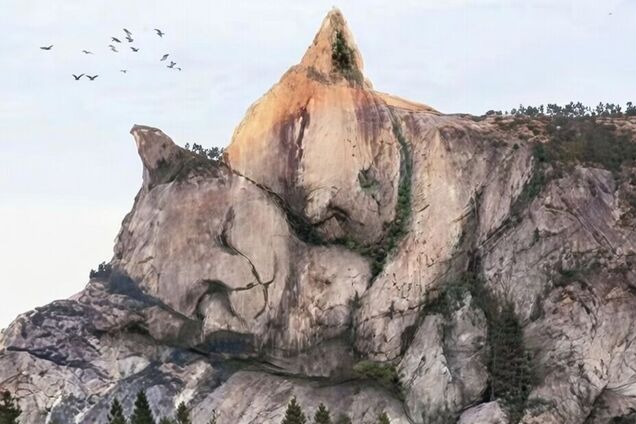 Увидели первыми котов или горы? Тест раскроет, насколько заботливы