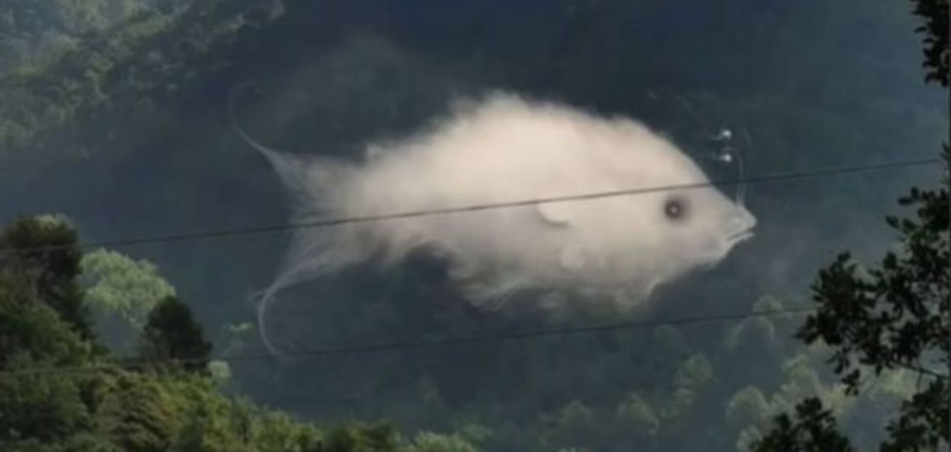 Увидели облако или рыбу? Тест покажет вашу эмоциональную силу