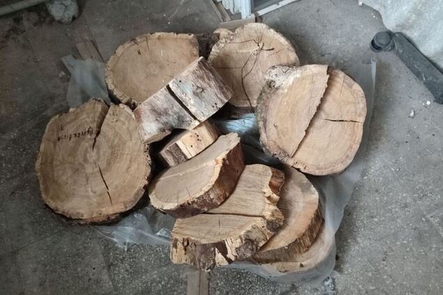 На Миколаївщині виставили на торги розпиляний пень