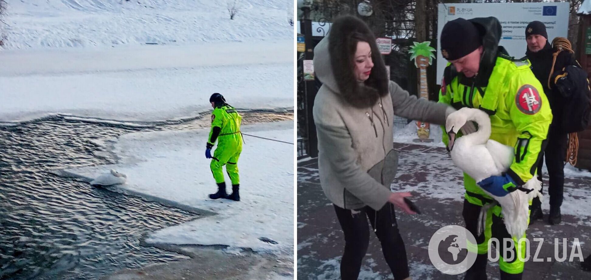 Лежал на краю проруби: в Луцке чрезвычайники спасли лебедя из ледяной ловушки. Фото