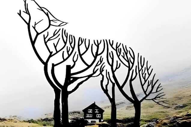 Волк, дерево или дом? Тест на личность раскроет правду о вас