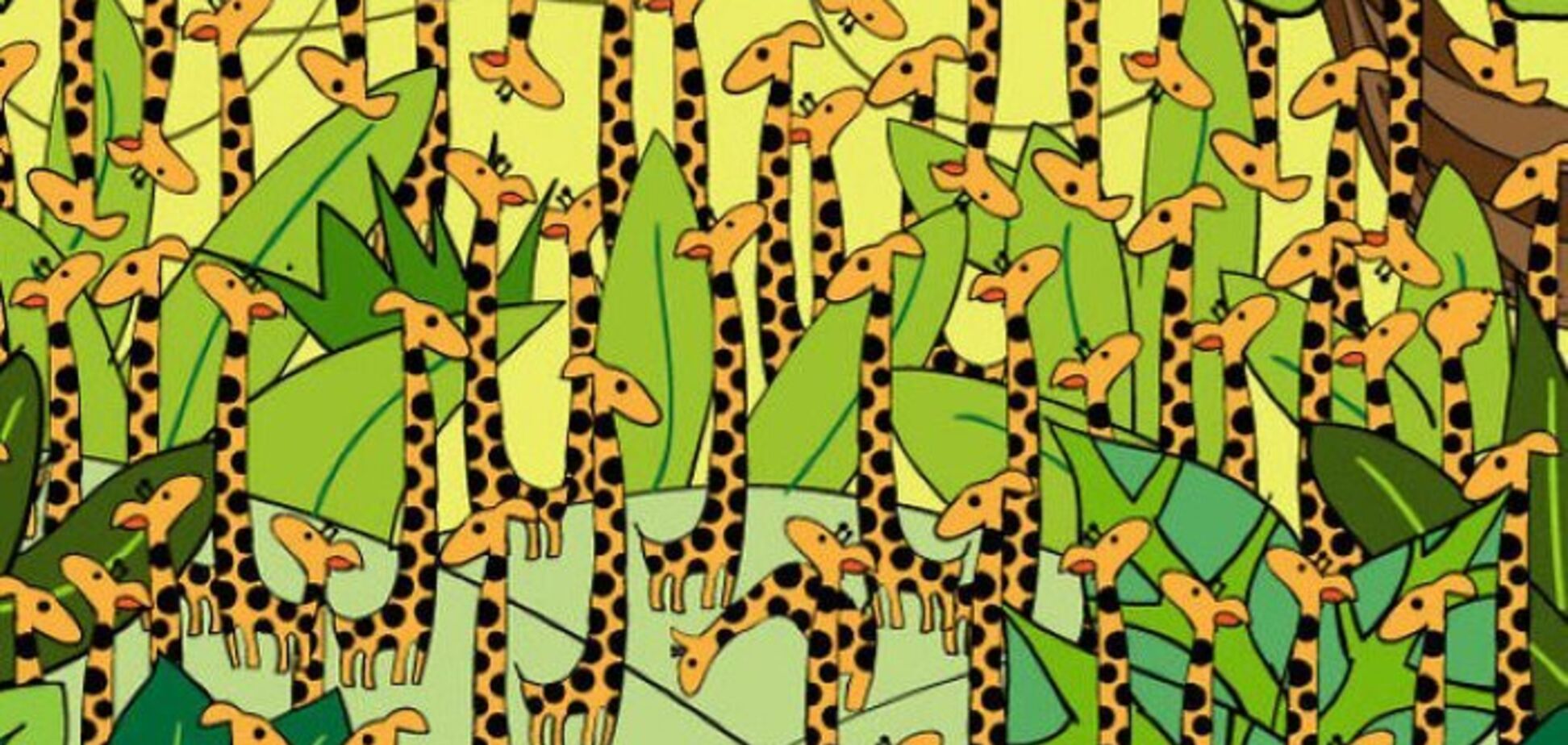 Где спряталась змея? Головоломка для самых внимательных